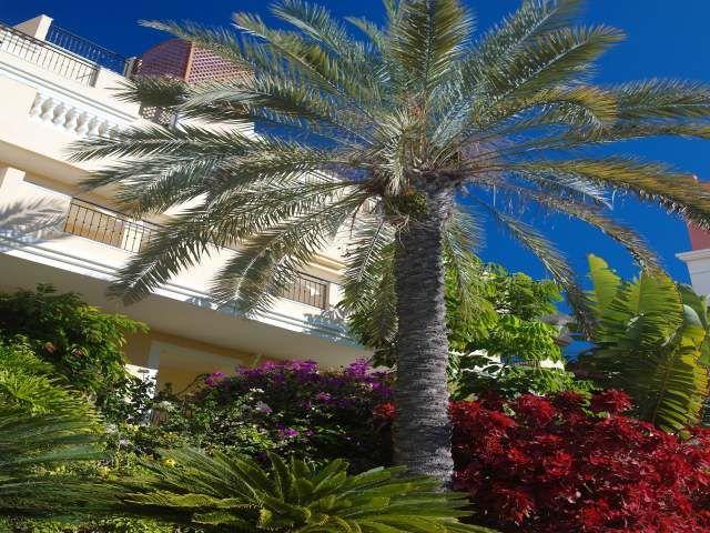 Apartamentos Granada Park ปลายาเดลาสอเมริกาส ภายนอก รูปภาพ